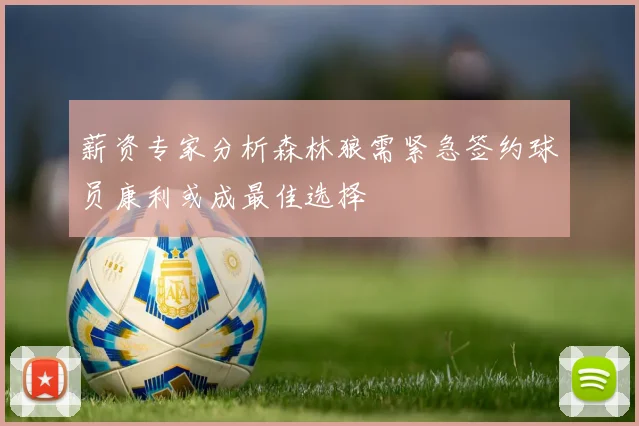 薪资专家分析森林狼需紧急签约球员康利或成最佳选择