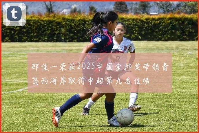 邵佳一荣获2025中国金帅奖带领青岛西海岸取得中超第九名佳绩