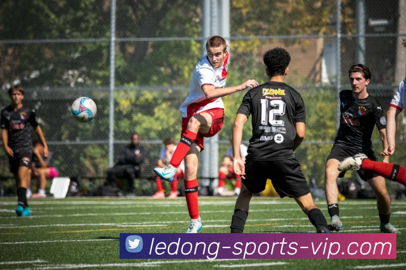 乐动体育平台生态图