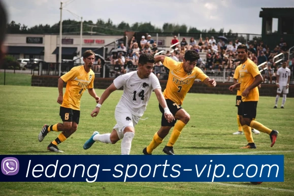 乐动体育APP 封面图